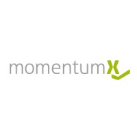 momentumX_de logo - Similar company to Pinsta Foodlovers International Gmbh