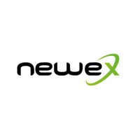 NewexSecurity logo - Similar company to Vitriol
