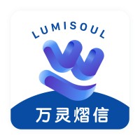 Shanghai Lumisoul Education Technology Company logo - Similar company to T-Lab