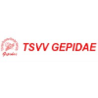 TSVV Gepidae logo - Similar company to Studytree