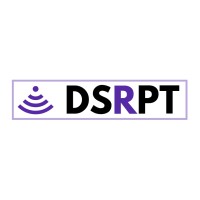 DSRPT Digital Strategy logo - Similar company to Go Tours Canada