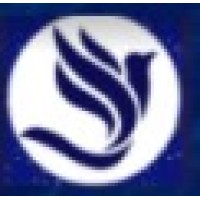 Ascension Leadership Inc. logo - Similar company to Windy City Anesthesia