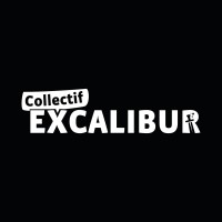 Collectif Excalibur logo - Similar company to Thsm Groupe