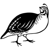 The Australian Ark logo - Similar company to The Wine Conversation