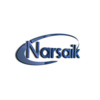 Narsaik logo - Similar company to Ctb-Luz