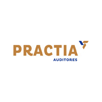 Practia Auditores logo - Similar company to 3E Auditores
