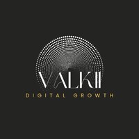 Valkii logo - Similar company to Instakit
