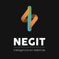 NEGIT IS logo - Similar company to Smartek