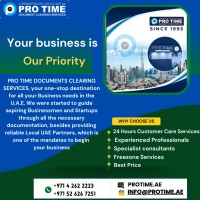 PRO TIME DOCUMENT CLEARING SERVICES logo - Similar company to Masterlink Document Clearing Services