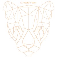 Cheetah™
