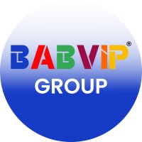BABVIP GROUP OF COMPANIES logo - Similar company to Babvip Developers Pvt. Ltd.
