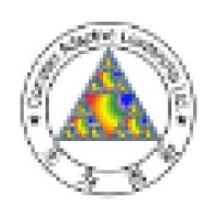 Complex Adaptive Leadership Ltd