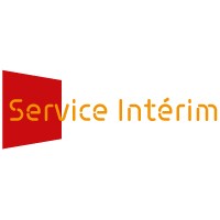 Service Intérim Réunion logo - Similar company to Orientoi - L'Orientation Par Le Jeu