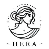 HERA Solutions logo - Similar company to Hera Solutions An App For Amazon Dsps