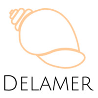 Delamer Collection logo - Similar company to Dealflow
