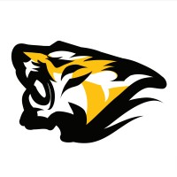 Digitalrooar logo - Similar company to Etatvasoft