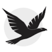 Der Schwarze Falke | HR Strategieberatung logo - Similar company to Pulsecheck Hr