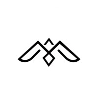 VMAK Avia logo - Similar company to Orange Aero Engineering