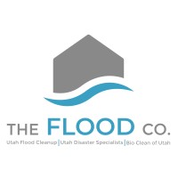 The Flood Co.