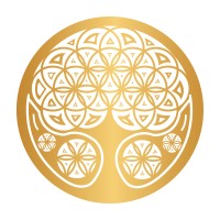 Mobile Franchising Academy logo - Similar company to Yb Case