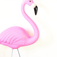 Freelance Flamingo logo - Similar company to Digital Flamingo
