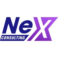 NeX ConsultingLTD logo - Similar company to Idcl Africa