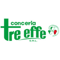 Conceria Tre Effe logo - Similar company to Chimica Conciaria Group