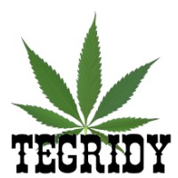 Tegridy LLC logo - Similar company to Taq | Taqueria, Restaurant & Bar