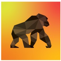 BS Soluciones Financieras logo - Similar company to Lever Corp