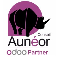 Aunéor Conseil logo - Similar company to Millionroads