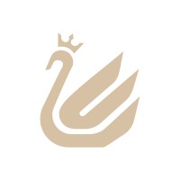 Lir Advisors logo - Similar company to Afirmpay