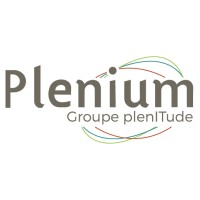 Plenium Service Informatique