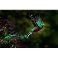 AVA Group Indonesia logo - Similar company to The Pipit Group