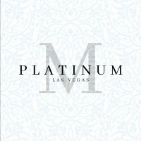 Platinum Millennial logo - Similar company to Millennial Network, Inc.