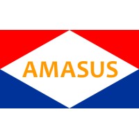 Amasus logo - Similar company to Intermarine