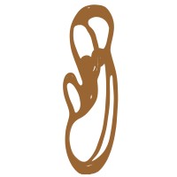 Dingui Akassi International