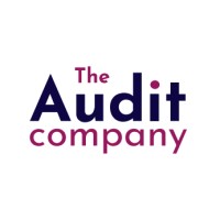 The Audit Company B.V. logo - Similar company to Digitalenthe