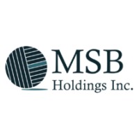 MSB Holdings logo - Similar company to Msb Holding