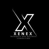 Xenex Research and Business consulting logo - Similar company to Smart Paisa