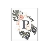Panemorfi Homes logo - Similar company to Ccs Interior Design Group