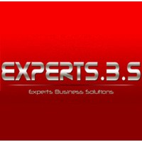 Experts Business Solutions logo - Similar company to Robust Business Technologies