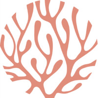 CodeReef logo - Similar company to Top Venture Sa