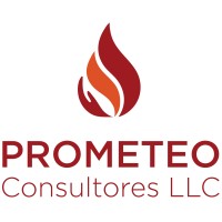 Prometeo Consultores LLC logo - Similar company to Tcm Group Psc