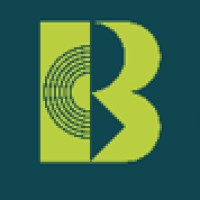 Bruhn Consulting GmbH logo - Similar company to Talessio Gmbh