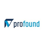 Profound BV logo - Similar company to Cloud Solutions