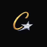 Camerino International Corp logo - Similar company to Zileej