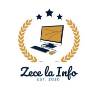 Zece la Info logo - Similar company to Zece La Examene