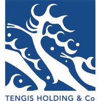 Tengis Holding & Co logo - Similar company to Karlayura Group