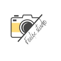 Feelix Studio logo - Similar company to Real Dev Labs