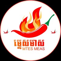 MTES MEAS logo - Similar company to Wp Expert - Wordpress Expert In Switzerland